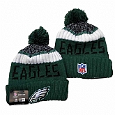 Philadelphia Eagles Team Logo Knit Hat YD (13),baseball caps,new era cap wholesale,wholesale hats